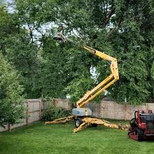 Best Commercial Tree Services  in Rocky Point, NY