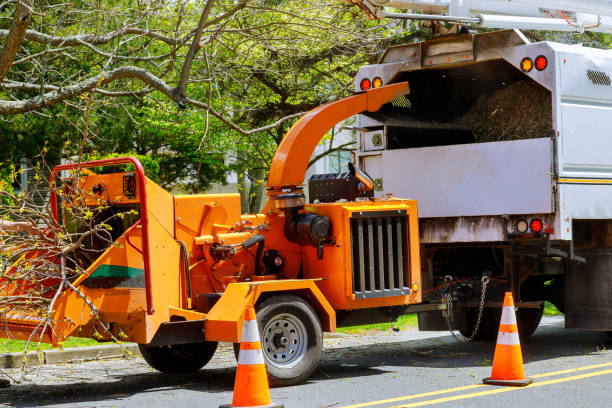 Best Utility Line Clearance  in Rocky Point, NY